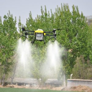 WhatsApp Image 2025-10-17 at 09.14.38_0d385bec