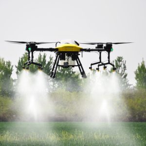 WhatsApp Image 2025-10-17 at 09.14.40_df937771