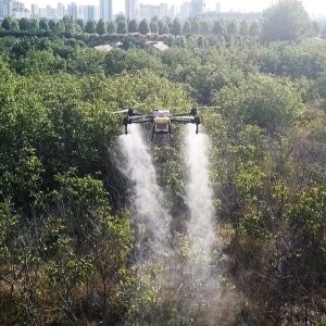 WhatsApp Image 2025-10-17 at 09.14.44_59c0f4b5