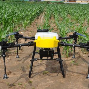 WhatsApp Image 2025-10-17 at 09.14.45_fc52d7d3